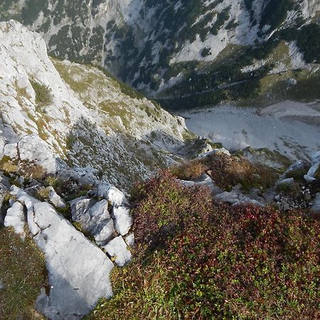 Appartement Bergblick Tauplitz Exteriér fotografie